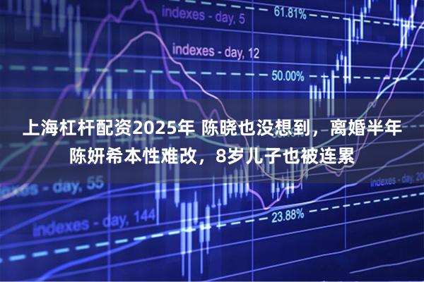 上海杠杆配资2025年 陈晓也没想到，离婚半年陈妍希本性难改，8岁儿子也被连累