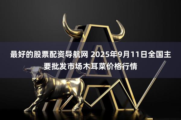 最好的股票配资导航网 2025年9月11日全国主要批发市场木耳菜价格行情