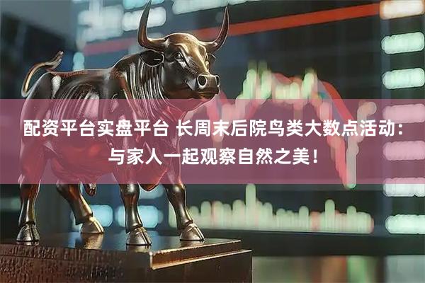 配资平台实盘平台 长周末后院鸟类大数点活动：与家人一起观察自然之美！