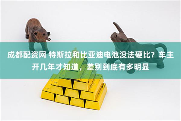 成都配资网 特斯拉和比亚迪电池没法硬比？车主开几年才知道，差别到底有多明显